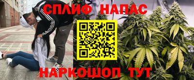 наркотики Брянск