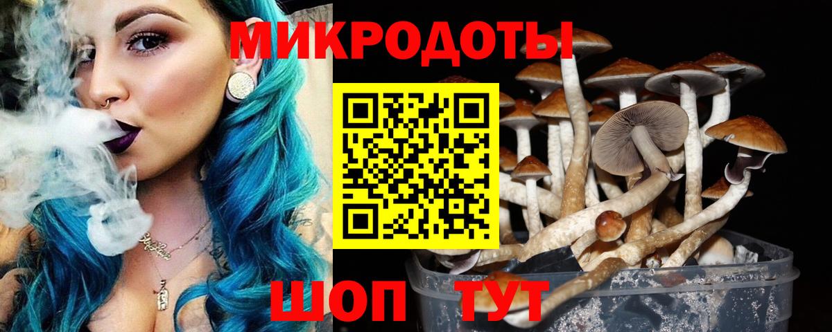 Купить наркотики цена  ГАШИШ  Вход с VPN  A PVP СК   КОКАИН  Меф МЯУ МЯУ  МАРИХУАНА  Боровичи  МЕФ  