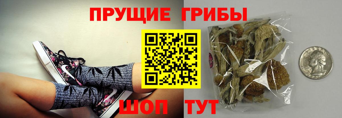 Боровичи  купить  цена  Вход с VPN  Галлюциногенные грибы MAGIC MUSHROOMS 